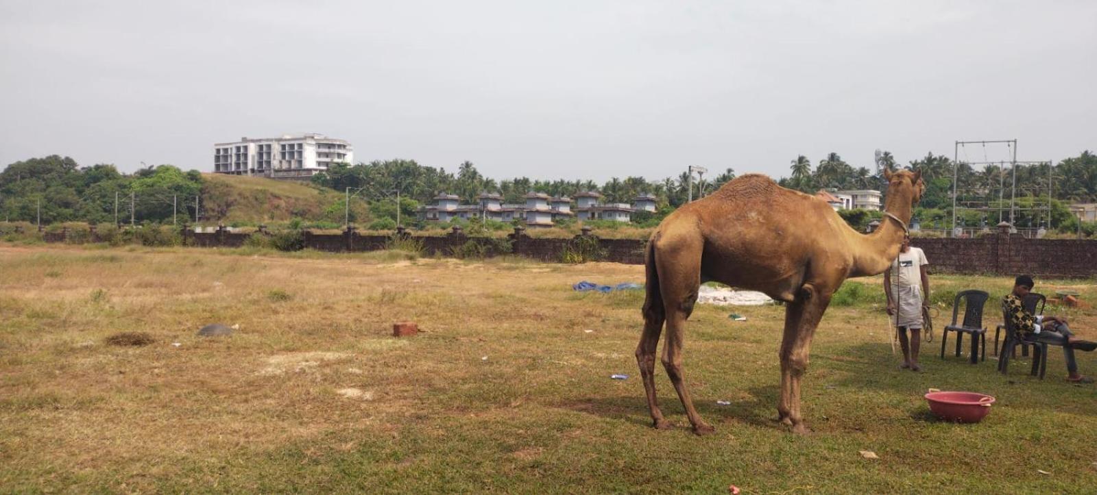 Bekal Fort Beach Resorts Bekal Town エクステリア 写真