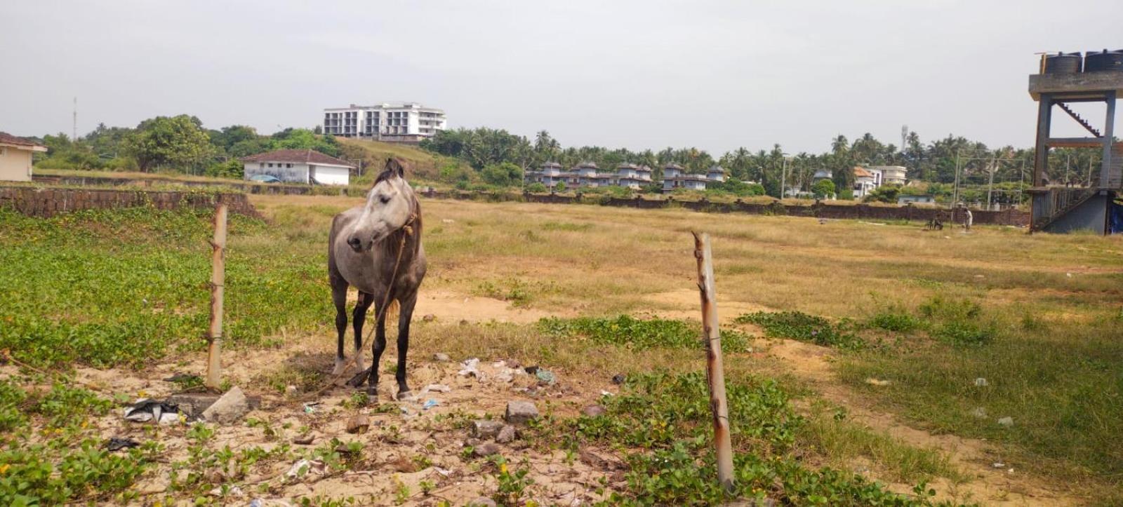 Bekal Fort Beach Resorts Bekal Town エクステリア 写真
